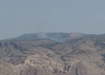 Gabar Dağı’nda orman yangını