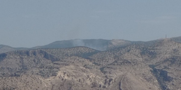 Gabar Dağı’nda orman yangını Gabar Dağı’nda orman yangını