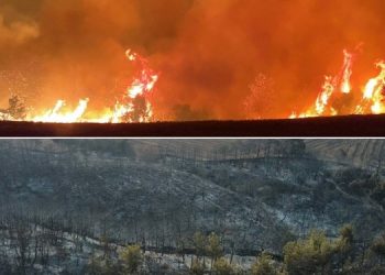 Çanakkale’deki yangın üçüncü gününde: 11 köy boşaltıldı