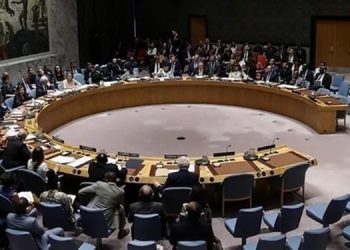 Rusya, Mali’ye yaptırımları uzatmayı öngören karar tasarısını veto etti