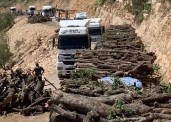 30 yıldır yasaklı olan Gabar’da petrol talanı