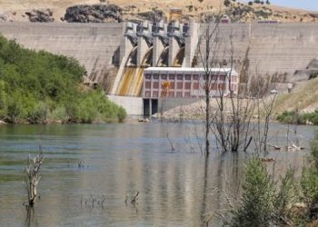 1938’de insanlar, bugün doğa katlediliyor