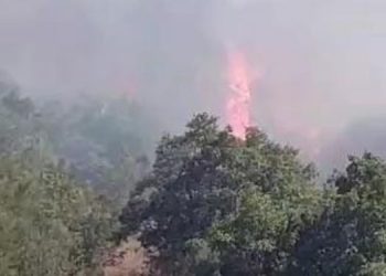 Kandıra’da ormanlara girişler yasaklandı