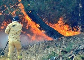 Çanakkale’deki yangın kontrol altına alındı