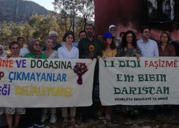 Licê’de yangınlara ilişkin ziyaret: Kurdistan’daki yangınlar da politiktir