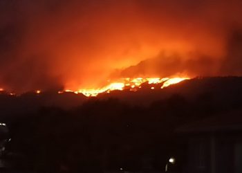 Koyunyeri ve Cûdî Dağı yangınları için açıklama