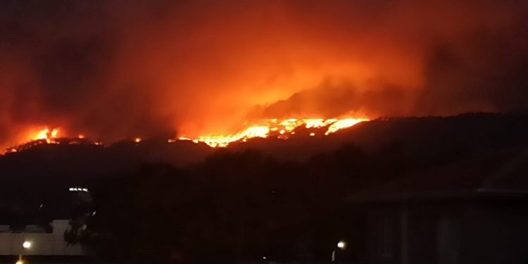 Koyunyeri ve Cûdî Dağı yangınları için açıklama