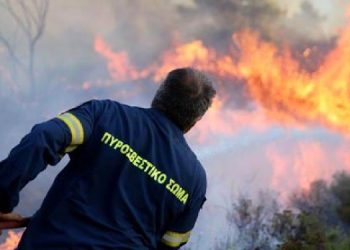 Yunanistan’da orman yangını sürüyor: 18 cenaze bulundu