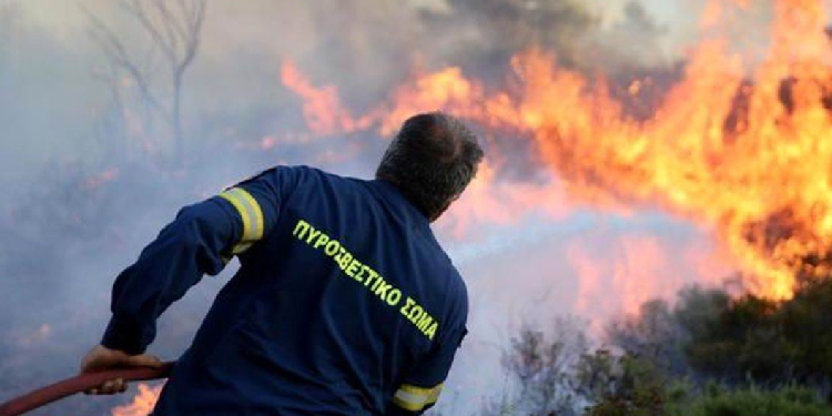 Yunanistan’da orman yangını sürüyor: 18 cenaze bulundu Yunanistan’da orman yangını sürüyor: 18 cenaze bulundu