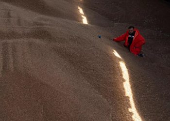 Anlaşmanın sona ermesi ile Ukrayna’nın tahıl ihracatından elde ettiği gelir yarı yarıya düştü