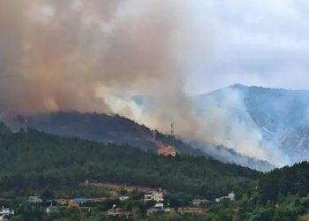 Antakya’da orman yangını