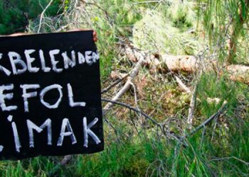 BM Kalkınma Programı, Limak’la işbirliğini sonlandırdı