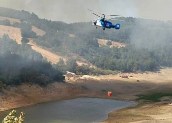 Çanakkale’de orman yangını