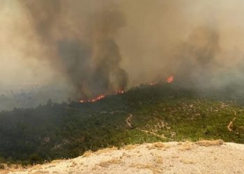 Çanakkale’de orman yangını: Havadan ve karadan müdahale ediliyor