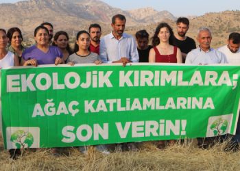 Ekolojistler Cûdî’de: Kıyımın acısını hissetmeliyiz