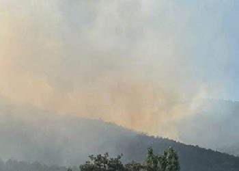 Eskişehir’de orman yangını