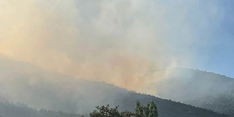 Eskişehir’de orman yangını Eskişehir’de orman yangını