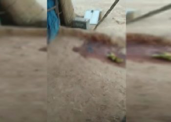 Eyn Îsa’ya saldırı: 2’si çocuk 3 kişi katledildi Eyn Îsa’ya saldırı: 2’si çocuk 3 kişi katledildi