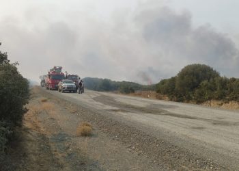 Gelibolu Yarımadası’nda da yangın çıktı