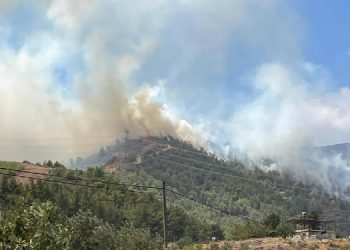 Hatay’da orman yangını