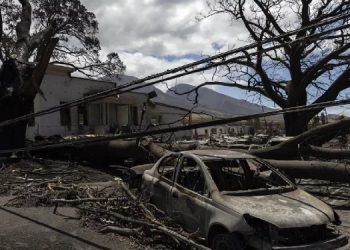 Hawaii’deki orman yangınlarında can kaybı sayısı her geçen gün artıyor