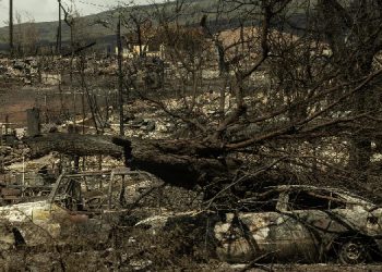 Hawaii’deki yangında ölü sayısı 106’ya yükseldi: 3 binden fazla evcil hayvan da kayıp