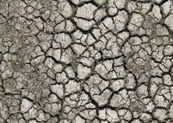 İstanbul’da barajlar alarm veriyor