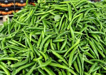 İstanbul’da temmuz ayının en çok pahalanan ürünleri belli oldu