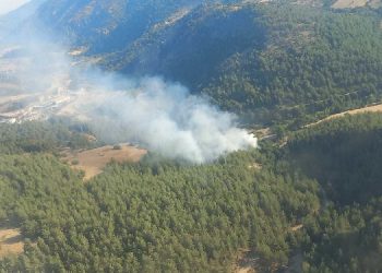 İzmir’in Çeşme Ve Kınık İlçelerinde Yangın Çıktı