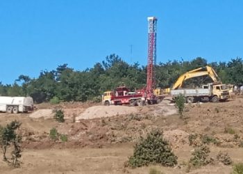 Kazdağları Kardeşliği: Cengiz Holding ağaç katliamına başladı