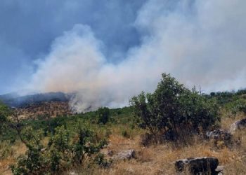 Licê’deki yangın için acil müdahale çağrısı