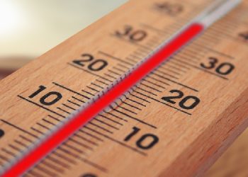 Avrupa’daki sıcak hava dalgasında 3 bin 700 ölüm kaydedildi