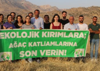 Mezopotamya Ekoloji Hareketi Cûdî’de incelemelerde bulundu