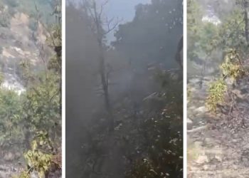 Roboskî’de 10 dönümlük ormanlık alan yandı