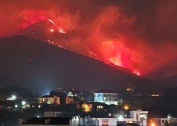 Rusya’nın Gelencik kentindeki yangın 118 hektarlık alana yayıldı