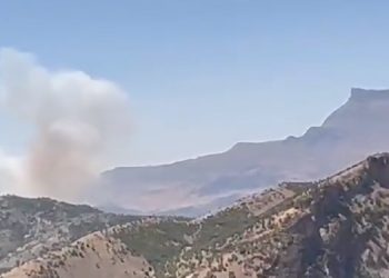 Siirt’te çıkan yangına müdahale edilmiyor