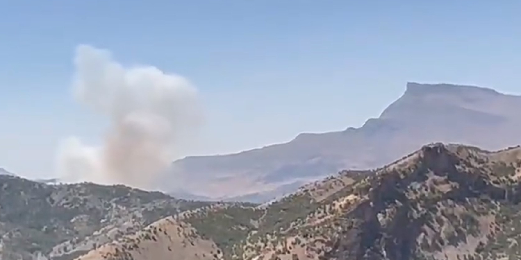 Siirt’te çıkan yangına müdahale edilmiyor Siirt’te çıkan yangına müdahale edilmiyor