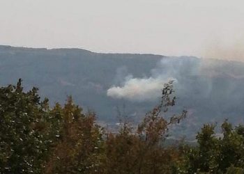 Tekirdağ’da orman yangını