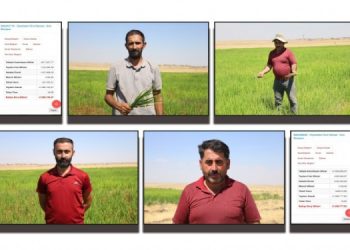 Trafoları sökülen çiftçiler: Abonelik için gittiğimizde ceza kesiliyor