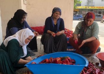 Ekonomik kriz kışlık yiyecekleri vurdu