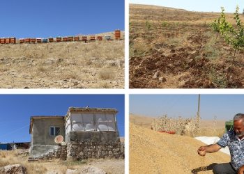 Yeniden ve yerinde inşa için köylerine geri döndüler