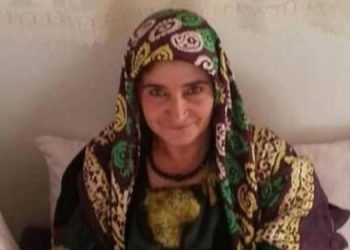 Bakanlıklardan ‘Sürmi İnce’ savunması: Çatışma çıktı