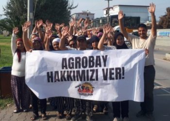 Agrobay Seracılık işçileri: Haklarımızı alana kadar direneceğiz