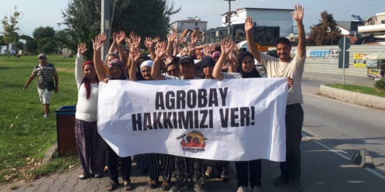 Agrobay Seracılık işçileri: Haklarımızı alana kadar direneceğiz Agrobay Seracılık işçileri: Haklarımızı alana kadar direneceğiz