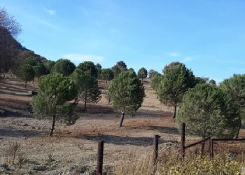 Bergama’da tarım alanında JES inşasının önü açıldı