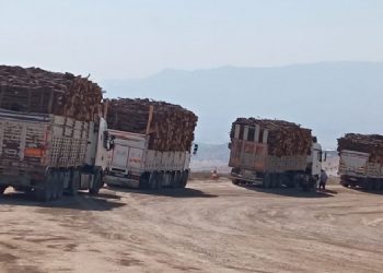 “Botan’da doğa talanı hırsızlığa dönüştü”