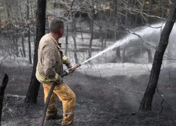 Bursa’daki orman yangını 17 saatin ardından kontrol altına alındı