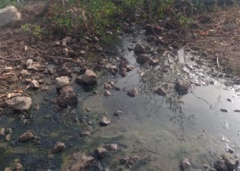 Gündoğan’ın doğası atık su tehdidi altında