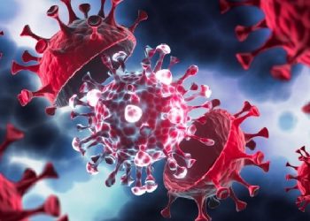 Koca’dan “Eris” varyantı açıklaması