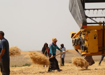 Tarım işçileri kaza yaptı: 3 ölü, 17 yaralı